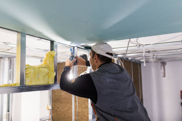 Best Insulation for Specific Applications in Balch Springs, TX