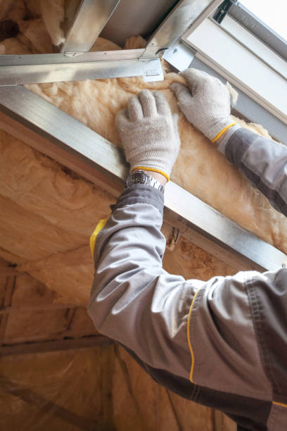 Best Insulation for Specific Applications in Balch Springs, TX