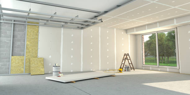 Best Insulation Installation Services in Balch Springs, TX