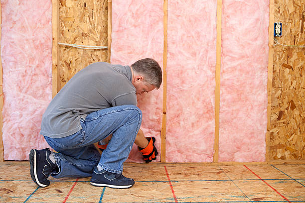 Best Insulation for Specific Applications in Balch Springs, TX